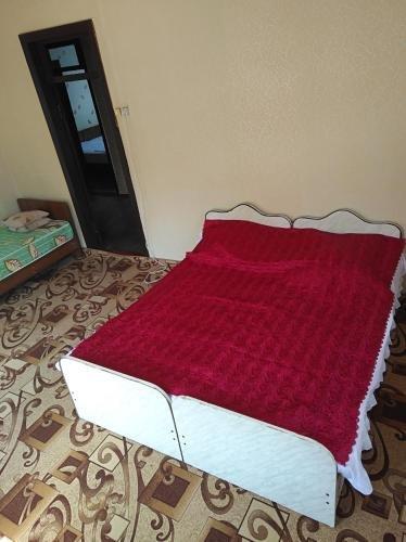 Новый Афон: Guesthouse U Vitaliya i Karini