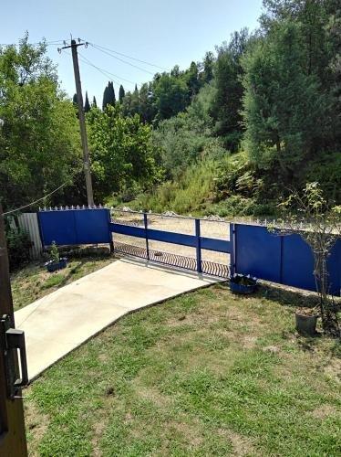 Новый Афон: Guesthouse U Vitaliya i Karini