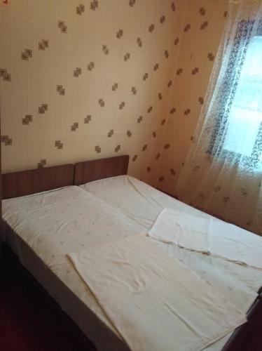 Новый Афон: Guesthouse U Vitaliya i Karini