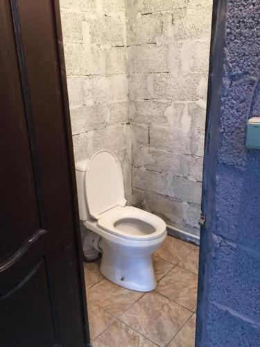 Гагра: Guest house Abovyana 23