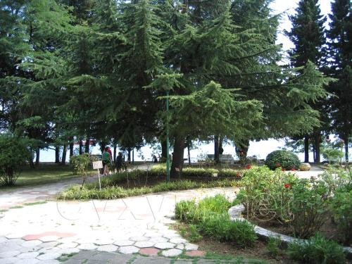 Сухум: Apartment Akirtava 28