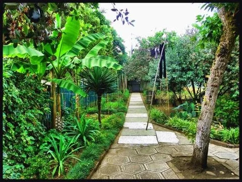 Сухум: Homestay on Krasnomayakskaya 9