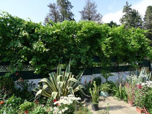 Гагра: Guest house Lenina 77