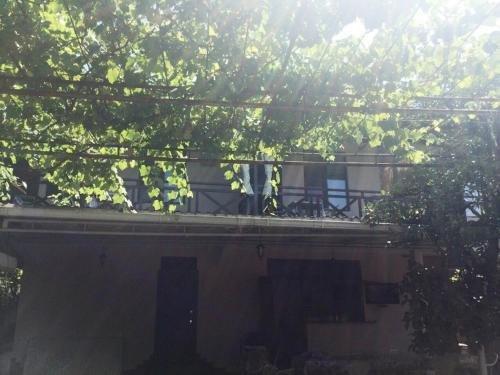 Гагра: Guest house Lenina 77
