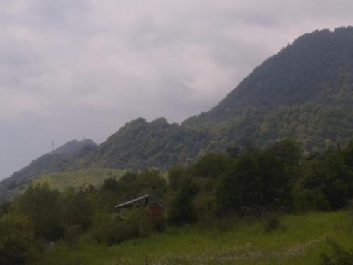 Новый Афон: Komnata on ulitsa Aboviana 24