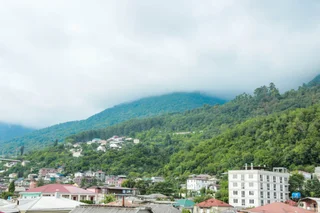 Гагра: Abhaz-Leo, byvsh. Loza (Gagra)