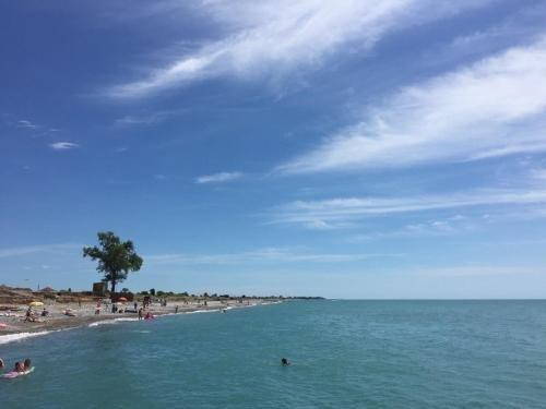 Гагра: Эко-домики