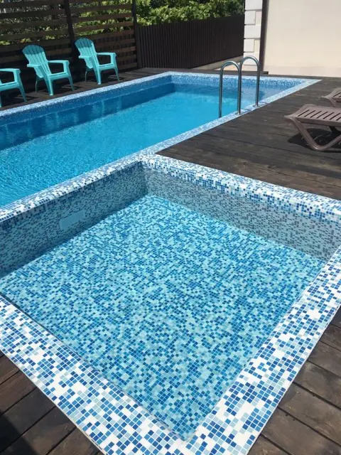 Сухум: Delfin Hotel	