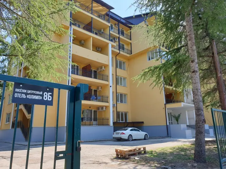 Цитрусовый: Olimp otel'