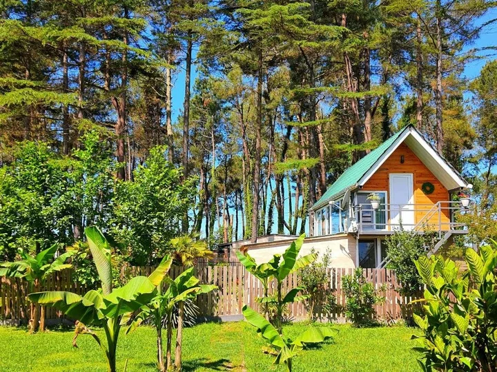 Шекветили: Sesil S entire house 60m from beach