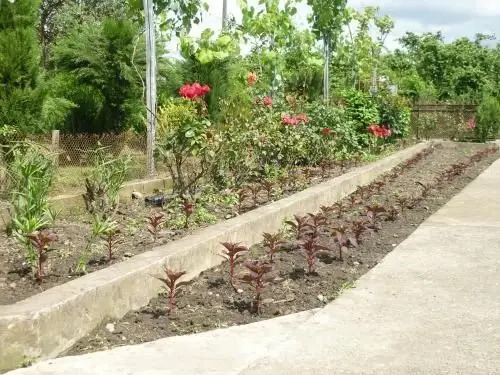 Дарчели: Saba House Darcheli