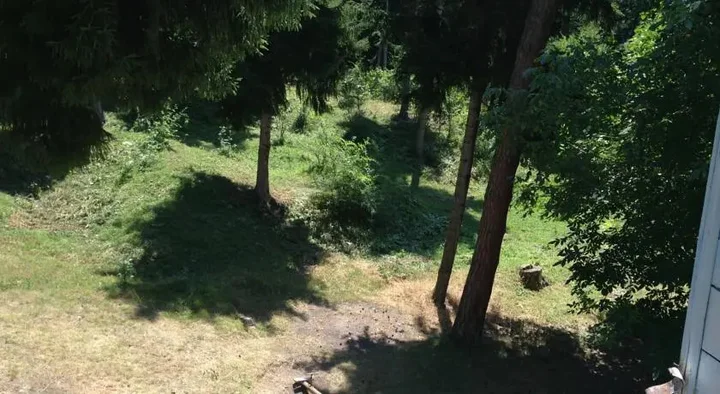 Боржоми: Borjomi Plato Hostel