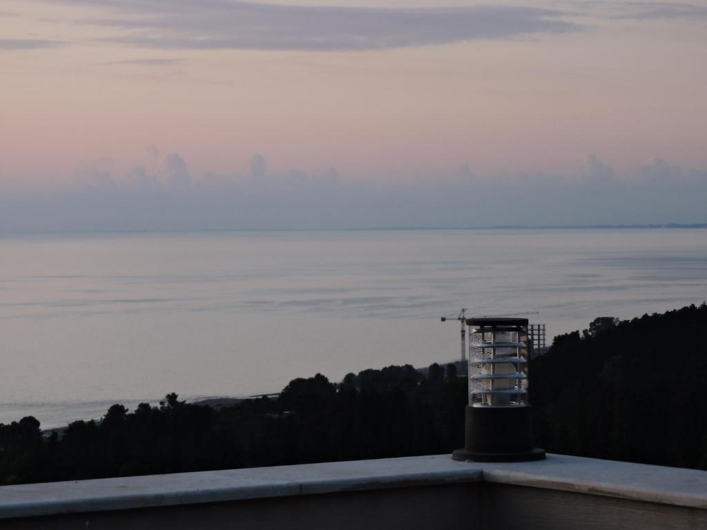 house to the Batumi botanical garden სახლი ბოტანიკურ ბაღთან — фото 6