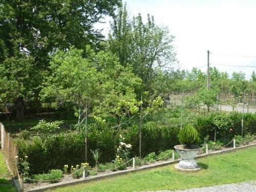 Дарчели: Ilia House Darcheli