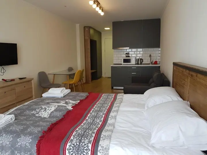 Гудаури: Gudauri Ski Resort Escape, Studio Flat