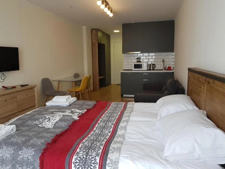 Гудаури: Gudauri Ski Resort Escape, Studio Flat