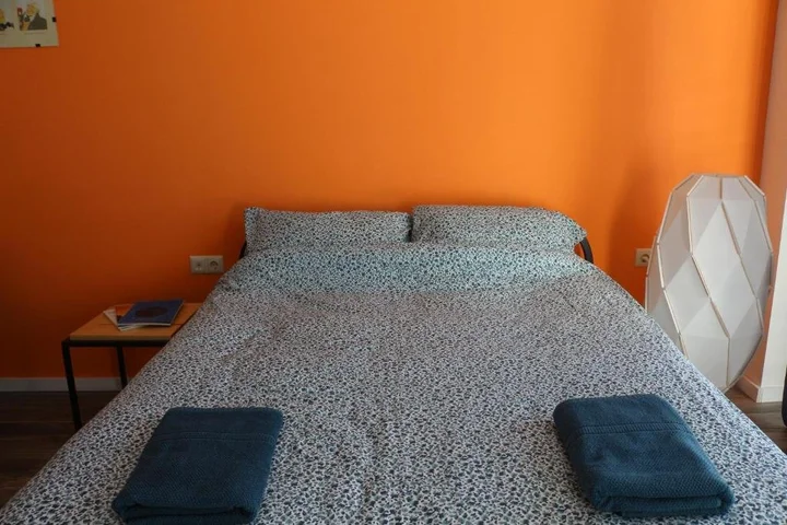 Гудаури: Papaya Rooms at Loft 2, New Gudauri