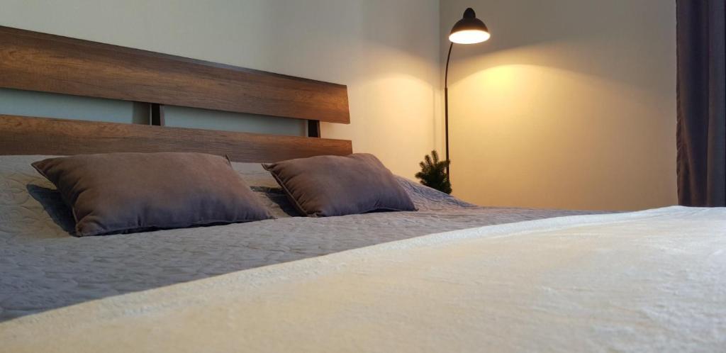 Гудаури: Hana Mountain Loft