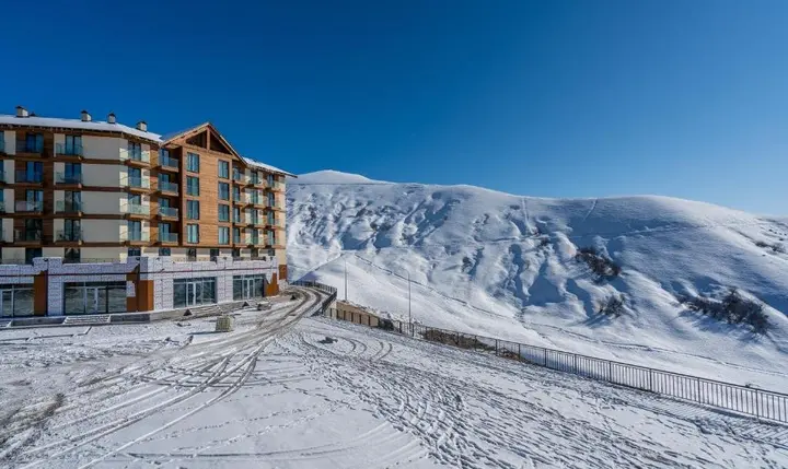 Гудаури: Gudauri Host Loft 1/211
