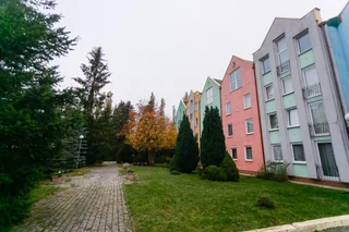 Светлогорск: Апартаменты Раушен