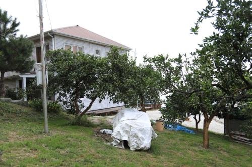 Новый Афон: Holiday Home Afinia