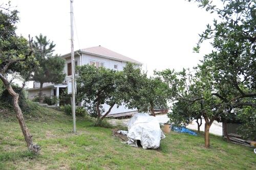 Новый Афон: Holiday Home Afinia