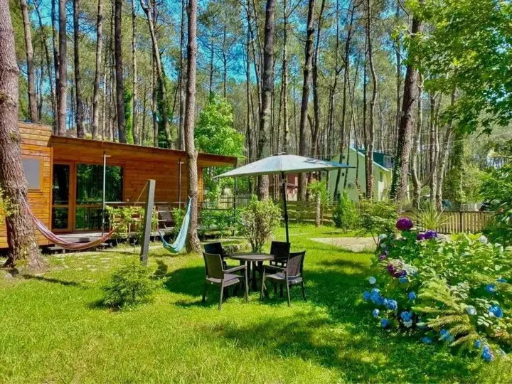 Шекветили: Kap-Kap in Kaprovani 50m to the beach 'BLUE'