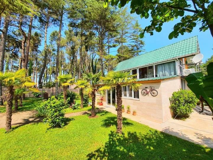 Шекветили: House & Yard Sesil S 70m to beach