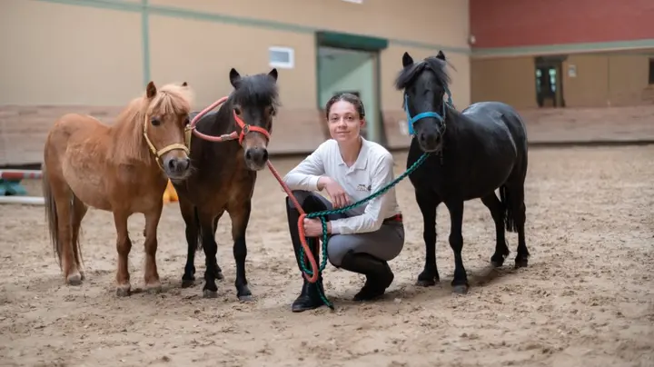 Акьяка: Бутик-отель Padok Premium Hotel & Stables