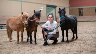 Акьяка: Бутик-отель Padok Premium Hotel & Stables