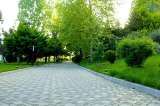 Шеки: Sheki Olimp Resort