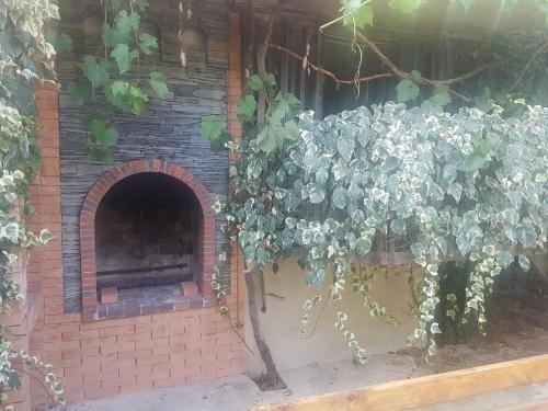 Кутаиси: Winery