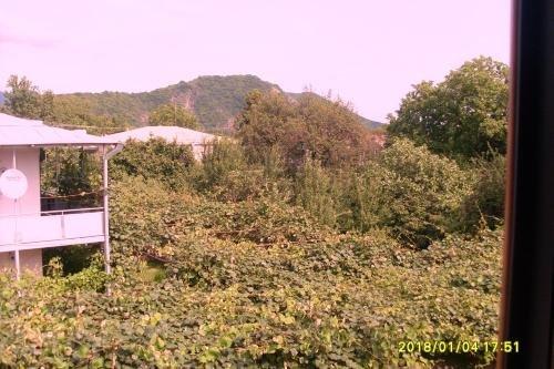 Кварели: Gold Star