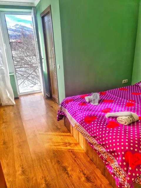 Бакуриани: Bakuriani Nice Hotel