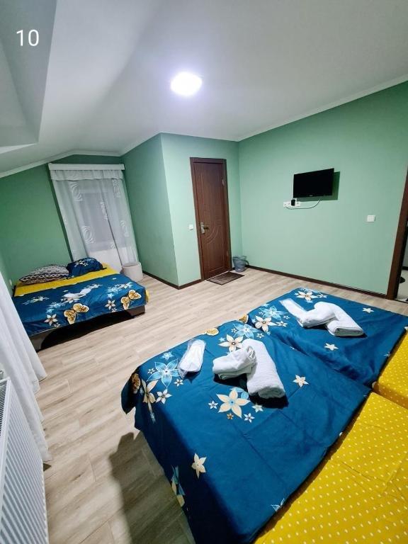 Бакуриани: Bakuriani Nice Hotel