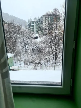 Бакуриани: Bakuriani Nice Hotel