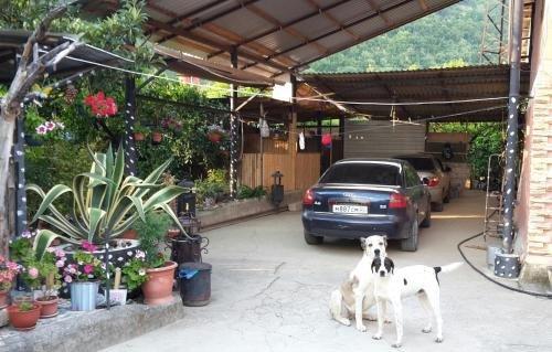 Новый Афон: Guesthouse Bagira