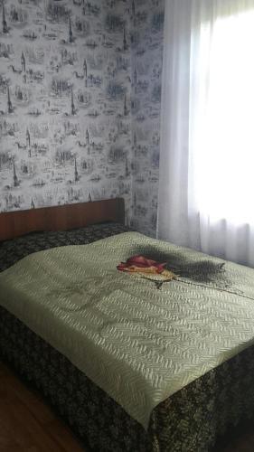 Новый Афон: Guesthouse Bagira