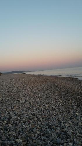 Новый Афон: Guesthouse Bagira