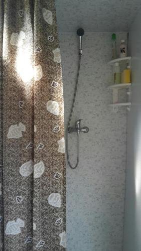 Новый Афон: Guesthouse Bagira