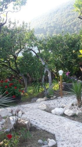 Новый Афон: Guesthouse Bagira
