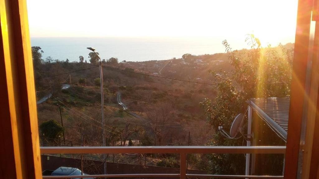Новый Афон: Guest House Panorama