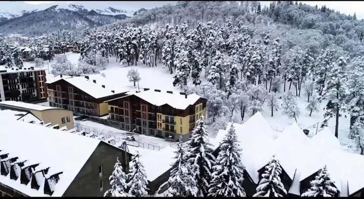 Бакуриани: Bakuriani park rezidence