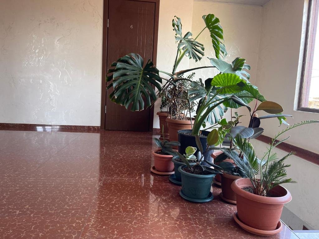 Григолети: Guest House Passiflora პასიფლორა