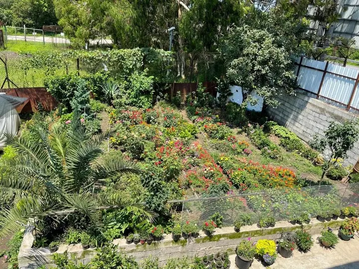 Григолети: Guest House Passiflora პასიფლორა