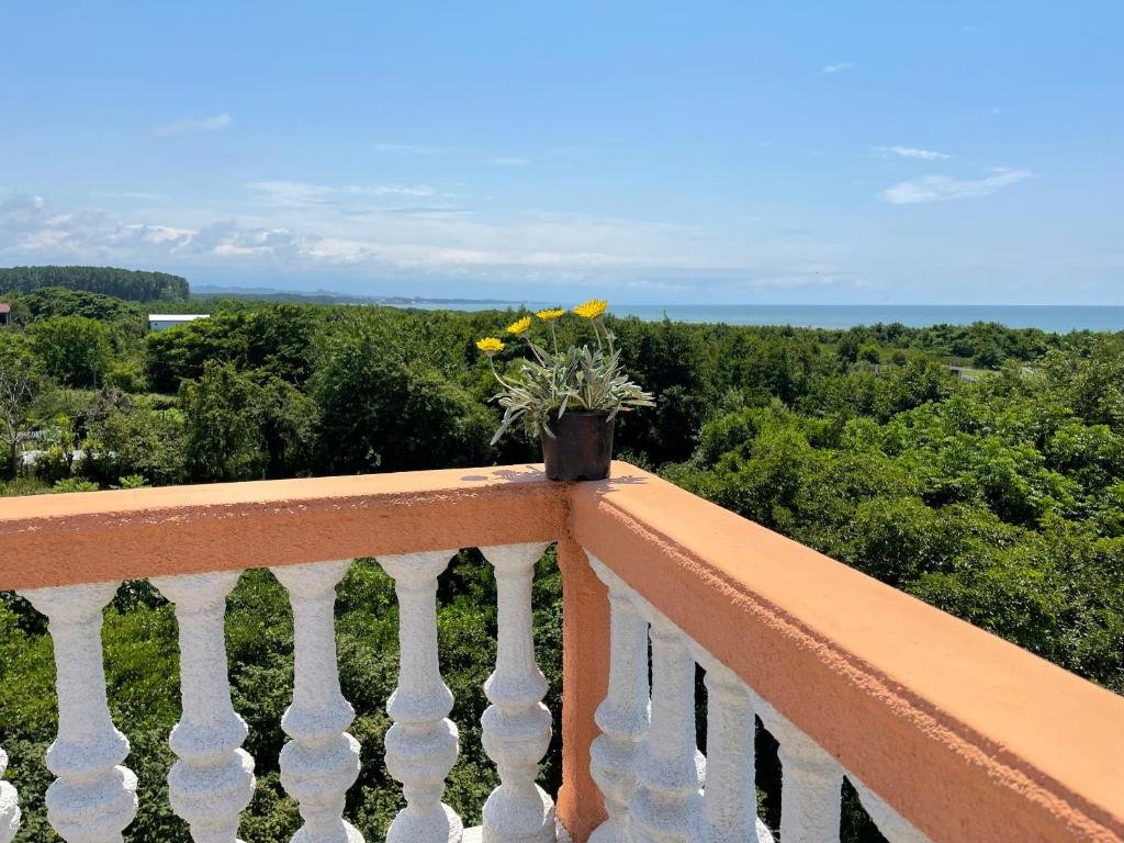 Григолети: Guest House Passiflora პასიფლორა