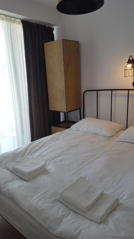 Бакуриани: Room in aparthotel Mgzavrebi X Bakuriani