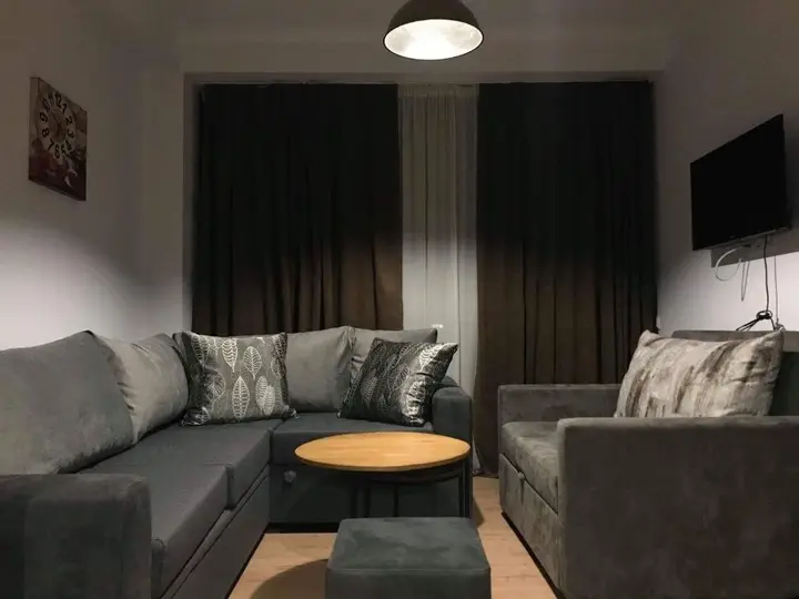 Room in aparthotel Mgzavrebi X Bakuriani — фото 1