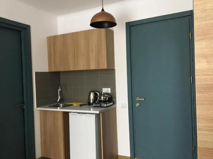 Бакуриани: Room in aparthotel Mgzavrebi X Bakuriani