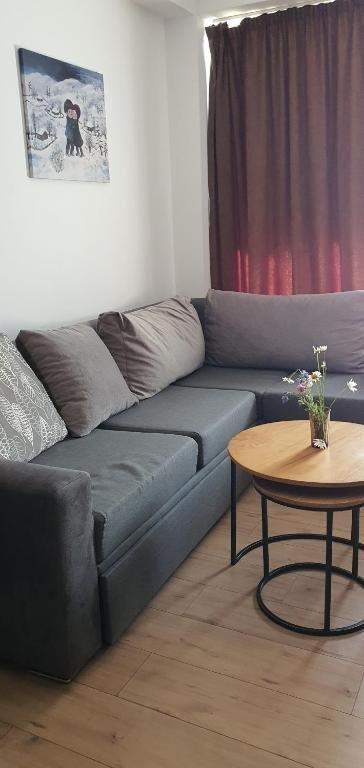 Бакуриани: Room in aparthotel Mgzavrebi X Bakuriani